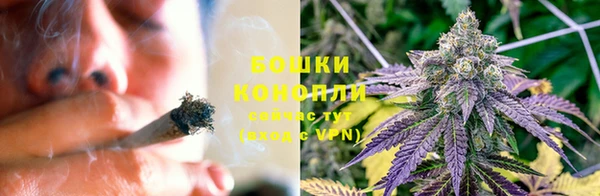ПСИЛОЦИБИНОВЫЕ ГРИБЫ Балабаново