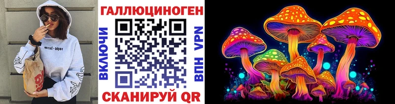 Купить  Севск  Псилоцибиновые грибы Psilocybe 